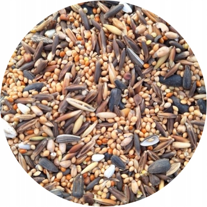 Pokarm dla papug średnich ziarno karma dla nimfy nierozłączki10 kg