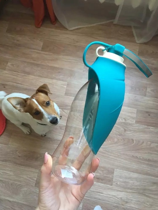 BUTELKA TURYSTYCZNA DLA PSA POIDŁO MISKA NA WODĘ PRZENOŚNA NA SPACER BIDON
