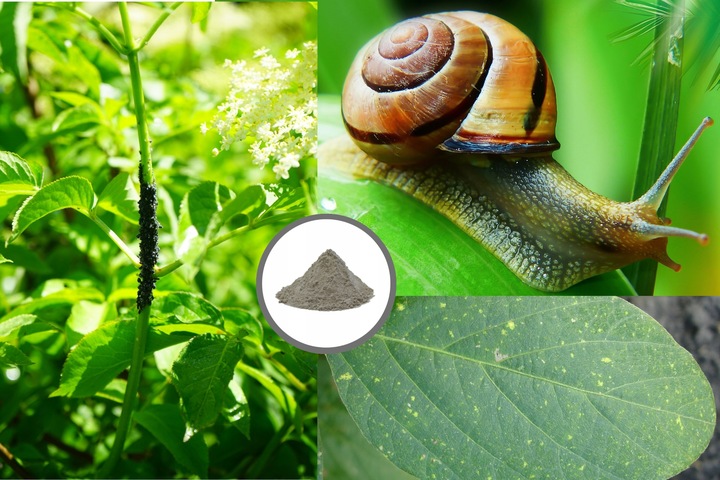 Mączka bazaltowa kruszywo pył trawnik ogród 25kg