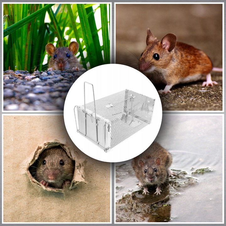 PUŁAPKA ŻYWOŁAPKA NA SZCZURY MYSZY GRYZONIE KUNY ŁAPKA DO ŁAPANIA
