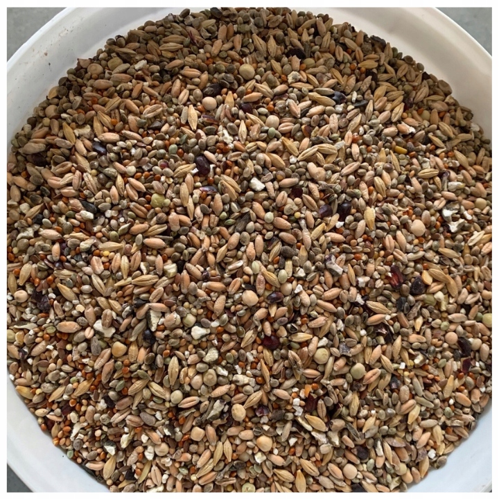 KARMA DLA PTAKÓW DZIKICH ZIMUJĄCYCH POKARM ZIARNO IDEALNY DO KARMNIKA 10KG