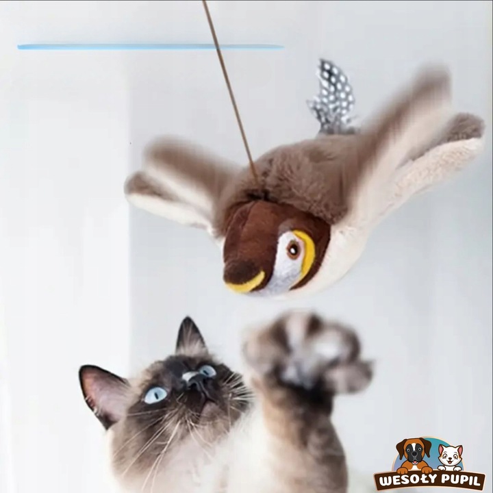 Zabawka dla kota INTERAKTYWNA latający PTAK z dźwiękiem na USB z
