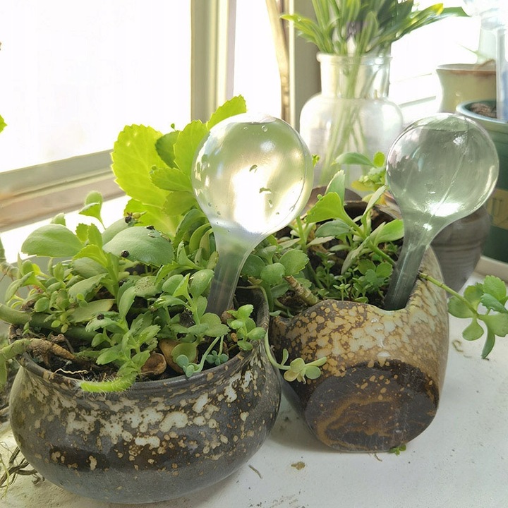 10x KULE NAWADNIAJĄCE DO KWIATÓW ROŚLIN DOZOWNIK WODY DO PODLEWANIA DOMOWY