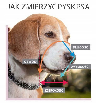 Kaganiec Dla Psa Metalowy Fizjologiczny Dla Psa Owczarek Niemiecki Pies