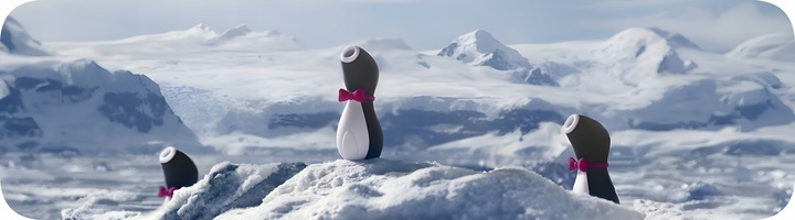 Wibrator damski PINGWINEK masażer dla kobiet do łechtaczki ORYGINALNY 100 %