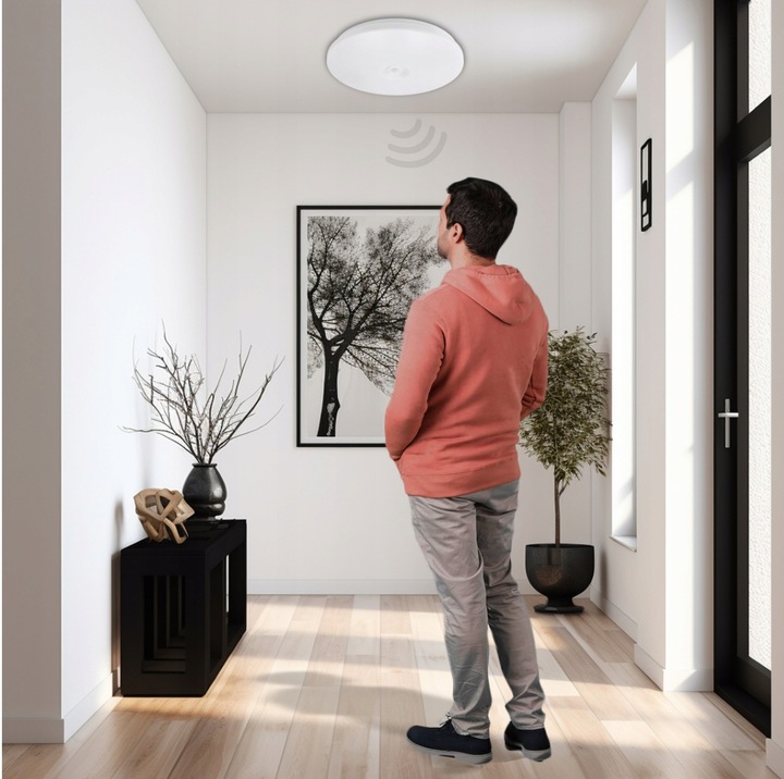 Plafon LED Lampa Sufitowa Z Czujnikiem Ruchu i Zmierzchu 2xE27 PIR