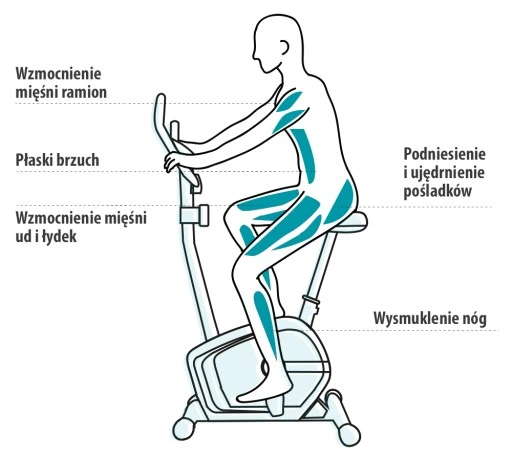 ROWER STACJONARNY rowerek MAGNETYCZNY BEAT - ZIPRO