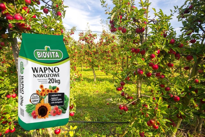 Wapno Nawozowe Pyliste Naturalne Źródło Wapnia dla Gleby 20kg Biovita