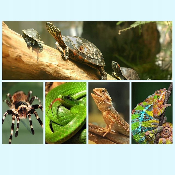 ŻÓŁW LAMPA GRZEWCZA LAMPA Z ŻARÓWKĄ UVA UVB I OBROTOWYM ZACISKIEM 360°