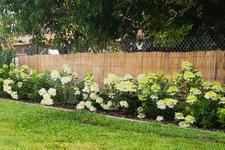 MATA BAMBUSOWA OSŁONOWA NA PŁOT OGRODZENIE OSŁONA NA BALKON BAMBUS