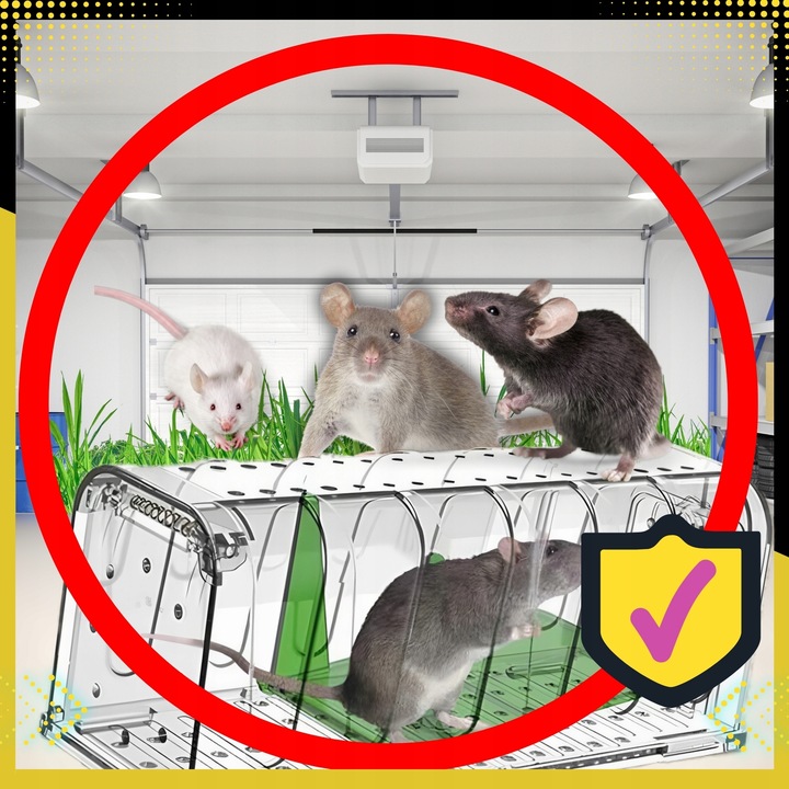 ŻYWOŁAPKA NA MYSZY 2 SZT Pułapka Łapka Szczury Pułapki Łapki 2X