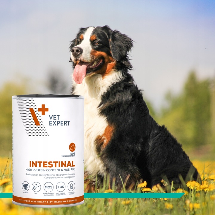 Mokra karma dla psów problemy z trawieniem Vet Expert Intestinal