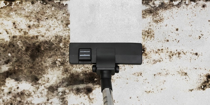 ODKURZACZ CYKLONOWY BEZWORKOWY TAIA HEPA 3L LIMITED EDITION PEARL