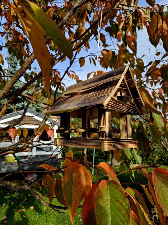 Drewniany KARMNIK XXL DLA PTAKÓW Solidny karmik opalane drewno