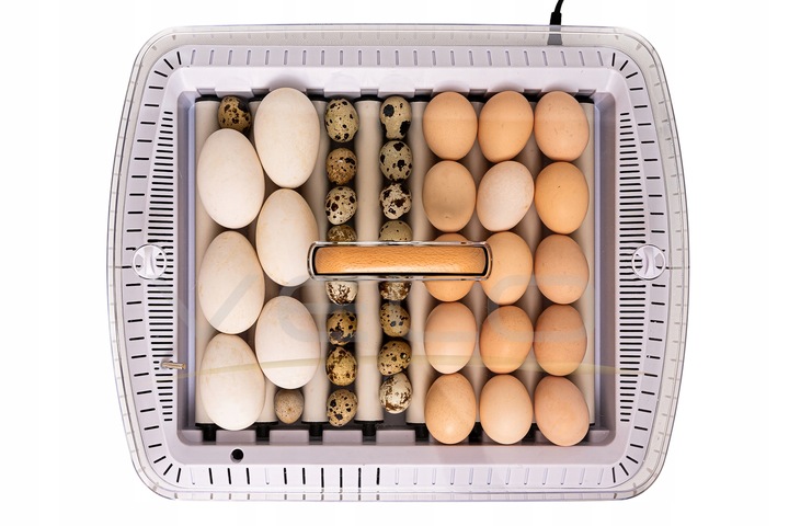 INKUBATOR AUTOMATYCZNY VELO na 35 JAJ do KURZYCH INDYCZYCH GĘSICH KACZYCH