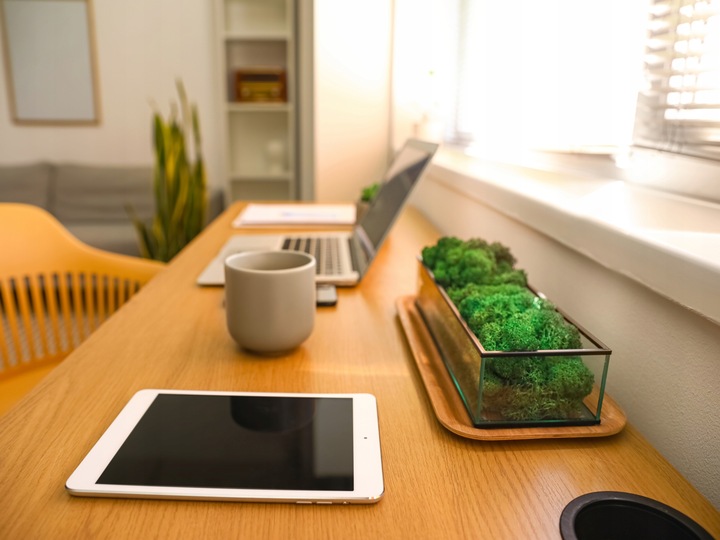 Mech CHROBOTEK RENIFEROWY fiński 500g ŚCIÓŁKA jasno zielony