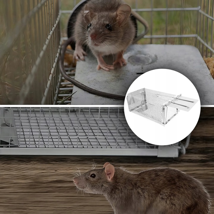 PUŁAPKA ŻYWOŁAPKA NA SZCZURY MYSZY GRYZONIE KUNY ŁAPKA DO ŁAPANIA