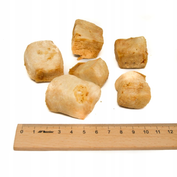 Ser himalajski M / 60-79g Gryzak zdrowy przysmak dla psa serek 13-14 cm