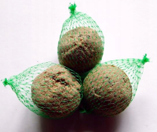 Kule Pyzy Tłuszczowe Pokarm Zimowy dla Dzikich Ptaków 100szt ZESTAW