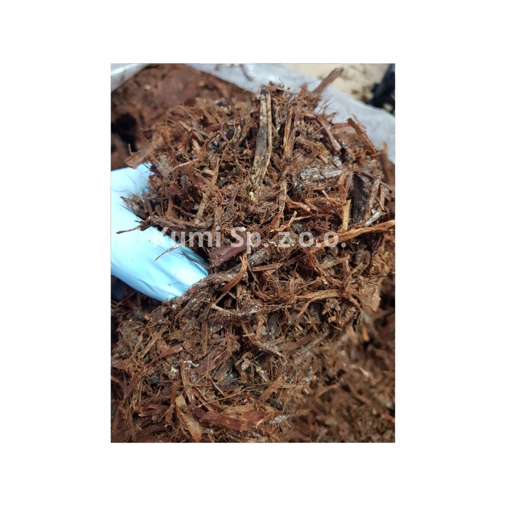 GRZYBNIA PIECZARKI BIAŁEJ BALOT 20KG ZESTAW 3FAZA + TORF 9KG +