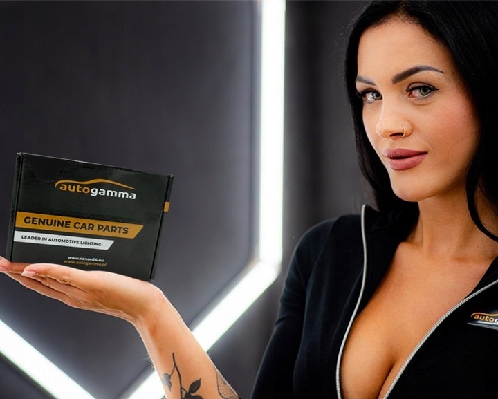 Przetwornica Xenon BMW Moduł LED 5DV009000-00 D1S D1R