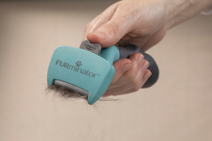 FURminator dla kotów krótkowłosych średnich dużych sierść krótka M/L Large