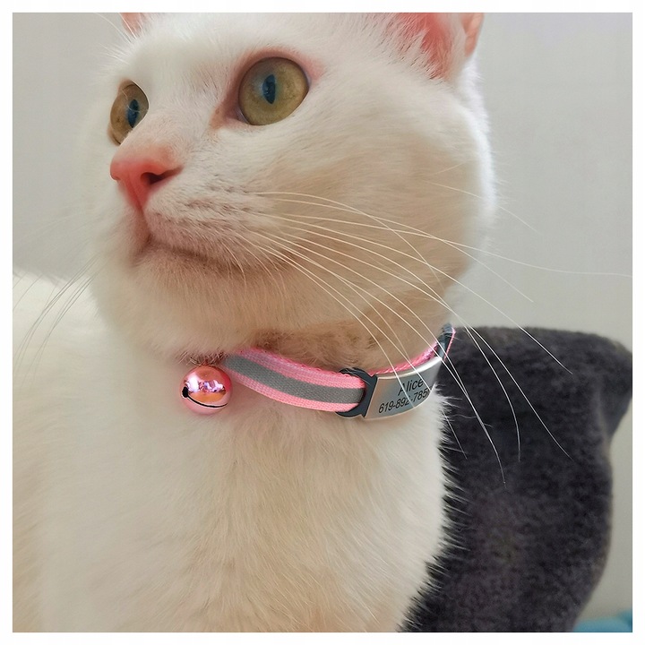 Odblaskowa Obroża Kota Psa dzwonek + Identyfikator