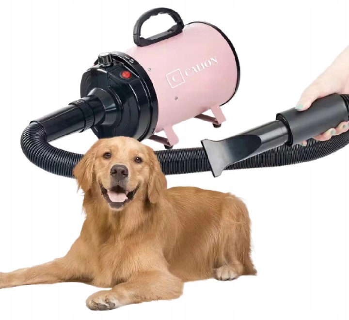 Suszarka do sierści dla psa i kota