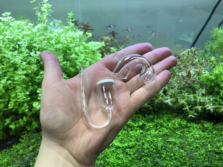 Zestaw CO2 Standard z wył. nocnym 5l z akcesoriami