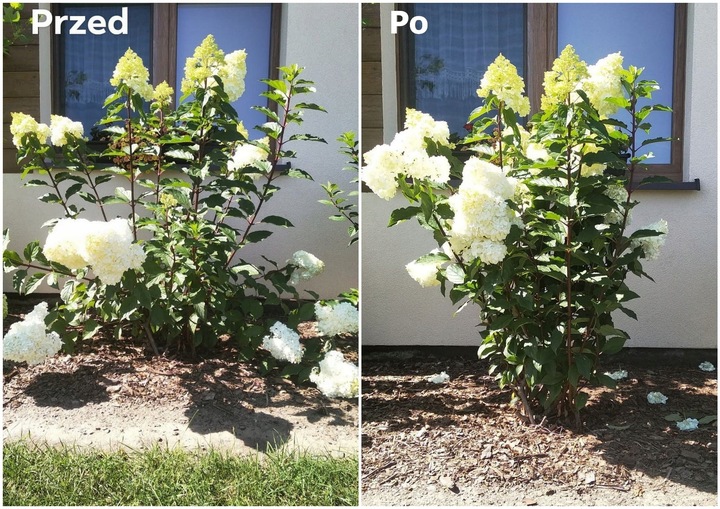 OBEJMA DO ROŚLIN FI 6 ZIELONA 50 SZT.