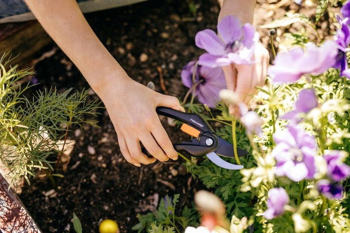 Sekator Ogrodniczy Fiskars P26 Singlestep 1000567 Nożyce do świeżych