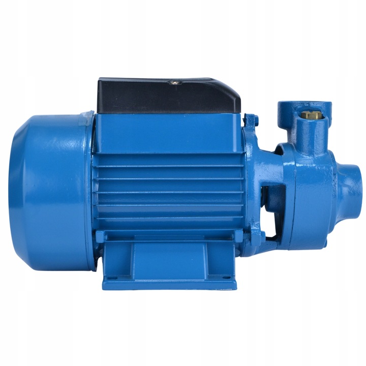 Pompa Ogrodowa HYDROFOROWA 900W - Wysoka Wydajność i IP68 do Czystej Wody