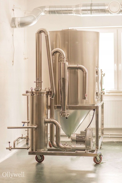 Polski Lion's Mane i Cordyceps od Ollywell Krople Silny ekstrakt Adaptogen