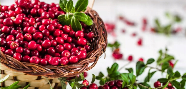 2x BestForKids Best Lab Witaminy Dla Dzieci Żelki BestLab Best For Kids