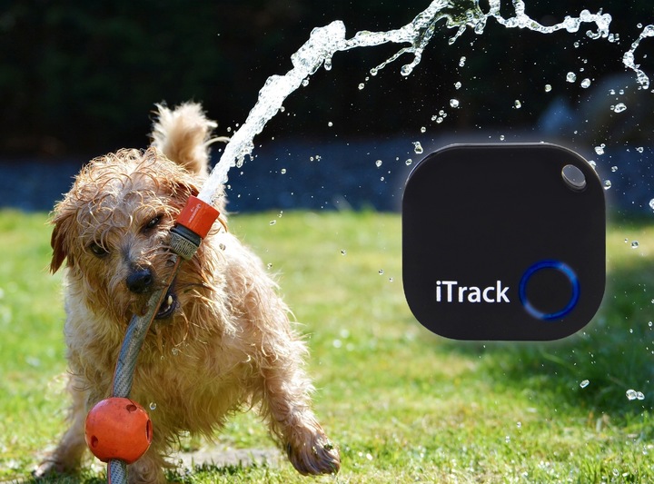 iTrack1 Lokalizator Bluetooth 5.0 Brelok Kluczy Portfela Alarm na PREZENT