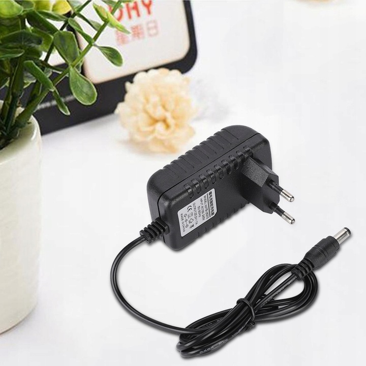 ZASILACZ ŁADOWARKA DO LI-ION ADAPTER 25.2V 1A