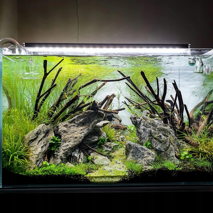 Czarny Piasek Żwirek do Akwarium Naturalny Doskonały dla Roślin 24kg 2-3mm