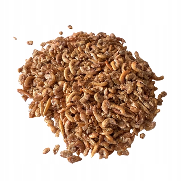 Naturalny Suszony Kiełż Syberyjski Gammarus Pokarm dla Żółwi Gadów 100g