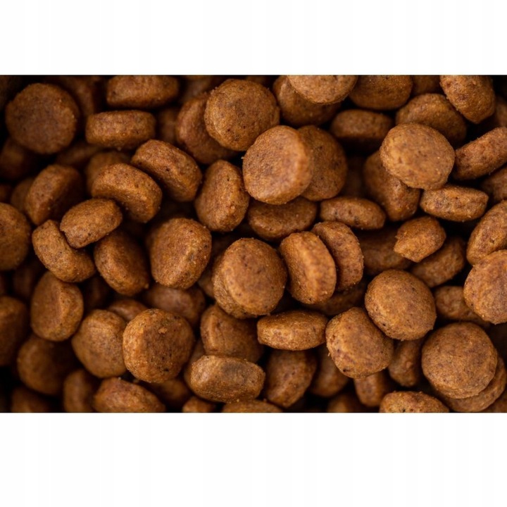 LUPPY Karma sucha dla psów Dorosłych i AKTYWNYCH z kompleksem WITAMIN