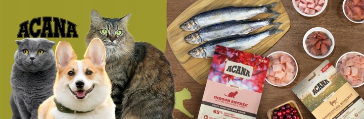 ACANA Adult Small Breed sucha karma dla psa 6 kg