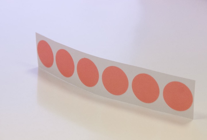 Planer A1 Kalendarz 2025 84x59 zmazywalny z mocowaniem samoprzylepnym