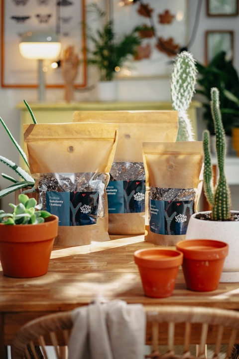 Ziemia do SUKULENTÓW i KAKTUSÓW 3L bigos, podłoże