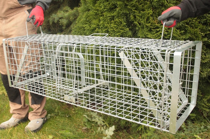 ŻYWOŁAPKA PUŁAPKA NA KUNY LISY KOTY BOBRY WYDRY - MOCNA, DUŻA, GRUBY