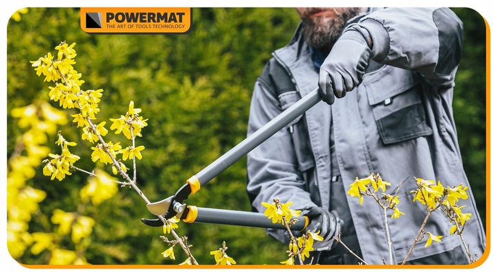 ZESTAW SEKATORÓW I NOŻYC OGRODOWYCH DO GAŁĘZI KRZEWÓW ŻYWOPŁOTU 3 SZT