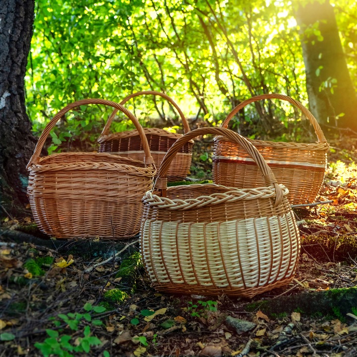 KOSZ WIKLINOWY KOSZYK NA GRZYBY ZAKUPY PIKNIK OWOCE Z WIKLINY DUŻY EKO