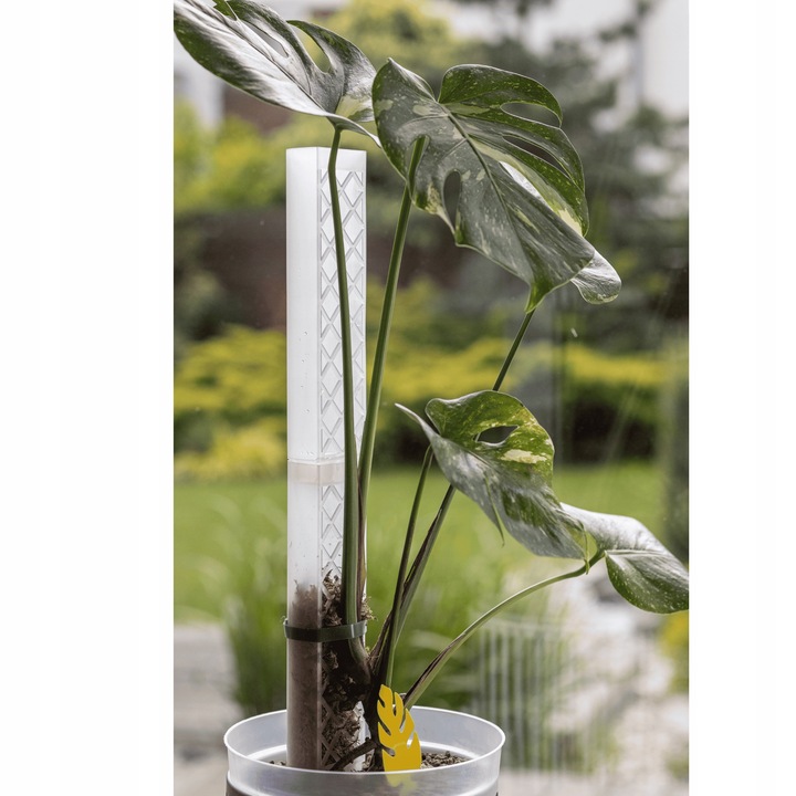 Podpora do roślin pnączy do mchu Sphagnum Palik Tyczka Do Monstery 50