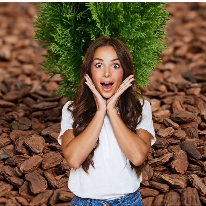 KORA SOSNOWA 80-130mm 8-13cm PREMIUM SORTOWANA MEGA GRUBA 50L