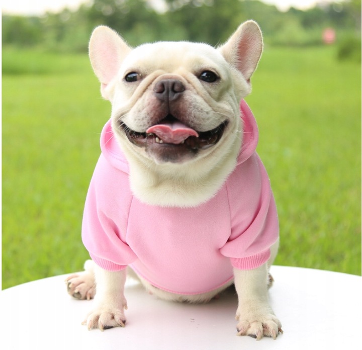 UBRANIE DLA PSA KOTA BLUZA Z KAPTUREM RÓŻOWA XS