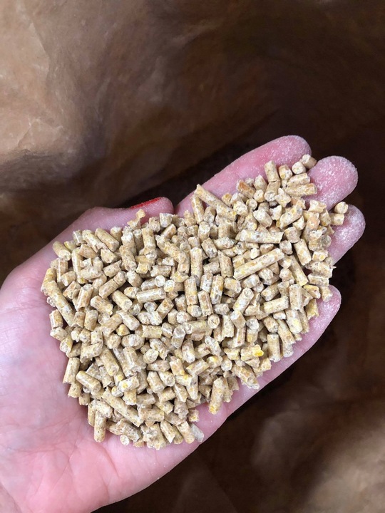 Karma dla ryb, pasza dla ryb 25% białka KARP 25kg