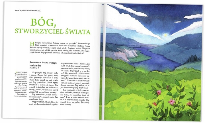 Przyjąłem Jezusa Biblia na Pierwszą Komunię w etui